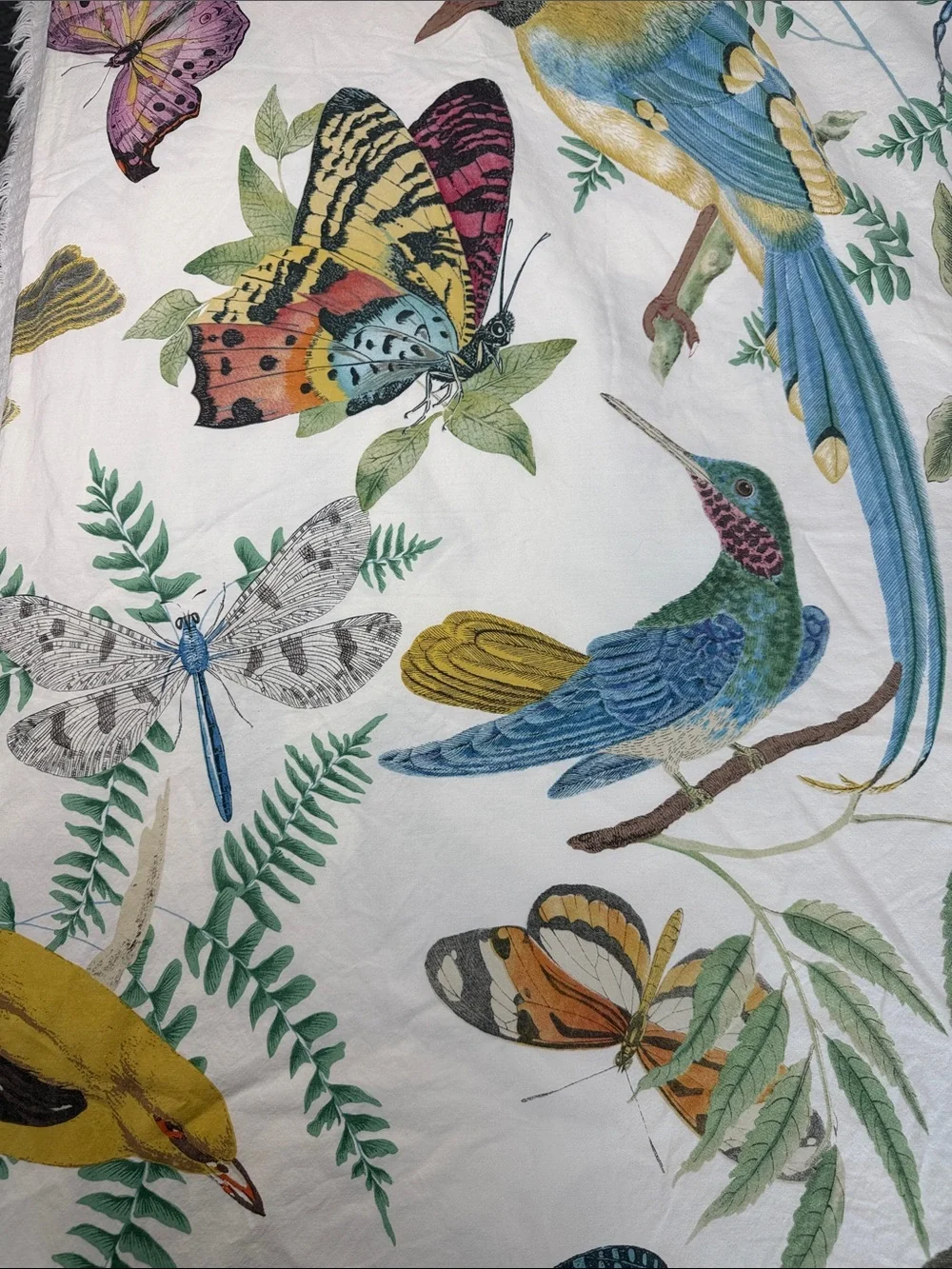 Pottery Barn Fauna Bird Percale Duvet Cover